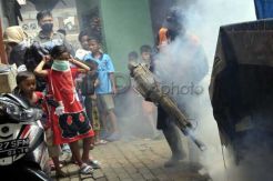 Sebanyak 15 Daerah di Jatim  KLB Demam Berdarah