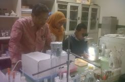Produksi Massal Herbal...