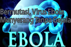 Bermutasi, Virus Ebola...