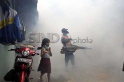 Sampang KLB DBD