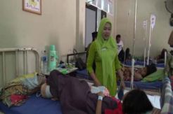 DBD Serang Puluhan Warga Bone