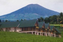 Sensasi Pendakian Menantang di Gunung Dempo