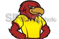 Inilah Cek Emas Maskot Anyar Sriwijaya FC