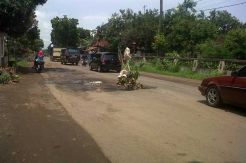 Berlubang, Jalan di Subang Ditanami Pohon