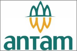 Antam Gandeng Swasta Bangun Tiga Proyek dari PMN