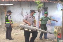 Lagi, Seorang Warga Tewas Terkena DBD