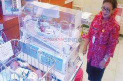 Bayi Berukuran Jumbo...