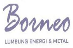 BORN Bayar Utang ke Standard Chartered Rp1 Triliun