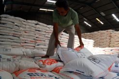 Anggota DPR Temukan Raskin Berkutu di Cirebon