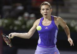 Halep Temukan Permainan...