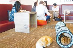 Hilangkan Stres Di Kafe...