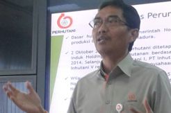 Perhutani Raup Laba Bersih Tahun Lalu Rp380 M