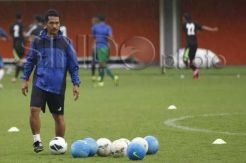 Elang Jawa Terus Asah Paruh dan Cakar