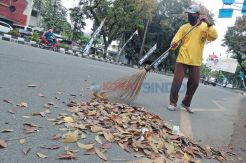 Daun Kering Berserakan...