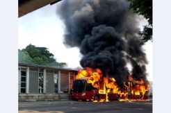 PT Transjakarta Diminta Audit Seluruh Bus Hasil Pengadaan 2013