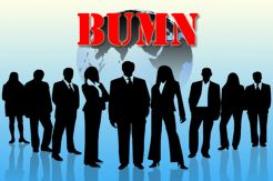 Komisaris BUMN Harus Orang Profesional!