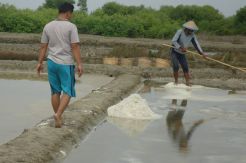 Sulsel Targetkan Produksi Garam 85 Ribu ton