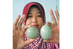 Telur Bebek Bulat Bikin...