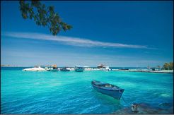 Pulau Pramuka Paradise...
