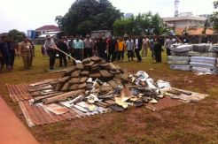 Polisi Bakar Ganja 3,3 Ton di Palmerah