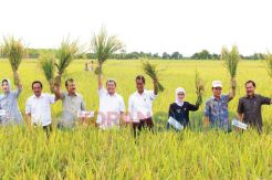 Indramayu Nyatakan Siap...
