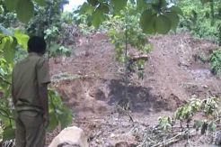 Longsor dan Banjir Bandang di Brebes, Satu Tewas