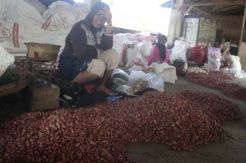 Rupiah Ambruk, Harga Bawang Merah Terus Naik