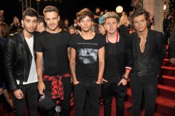 Dilarang Bawa Tongsis ke Konser One Direction