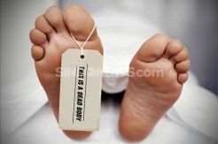 Tersambar Petir, Penggembala Domba Tewas