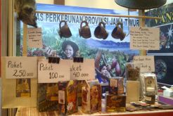 Meneguk Nikmatnya Bisnis Kopi Luwak hingga Mancanegara