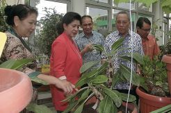 Menteri Kesehatan Minta...