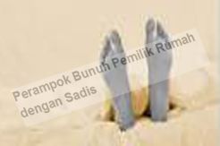 Perampok Bunuh Pemilik...