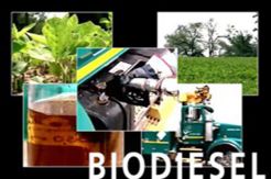 Mandatori Biodisel Minta Segera Diimplementasikan
