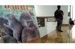 Tujuh Warga Kulon Progo Positif Leptospirosis