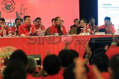 Formasi Pengurus PDIP Tahun 2015-2020