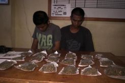 Polresta Manado Sita Ratusan Gram Ganja Kering