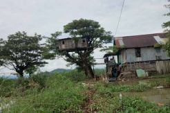 Ibu 60 Tahun Hidup di Rumah Pohon