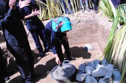 Ratusan Hektar Sawah di Dlingo Masih Tergantung Hujan