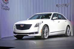 Bos Cadillac Sangkal...
