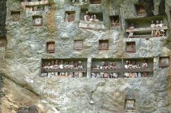 Uniknya Plesir ke Pemakaman Tana Toraja