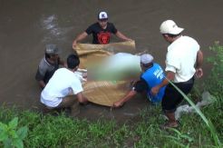 Mayat Wanita Penuh Luka Mengapung di Sungai