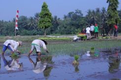 Lahan Pribadi Jadi Halangan Lahan Abadi