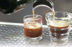 Proses Secangkir Kopi