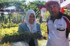 100.000 Tanaman Organik...