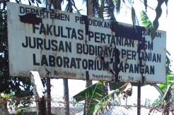 Terbukti Korupsi, Empat Dosen UGM Divonis Dua Tahun Penjara