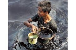 Pipa Bocor, Teluk Penyu...