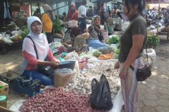 Harga Bawang Merah Naik Drastis
