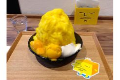 Rasakan Sensasi Dinginnya Kakigori