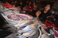 Harga Ikan Diperkirakan Naik hingga 10%