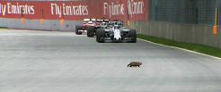 Kemenangan Hamilton...